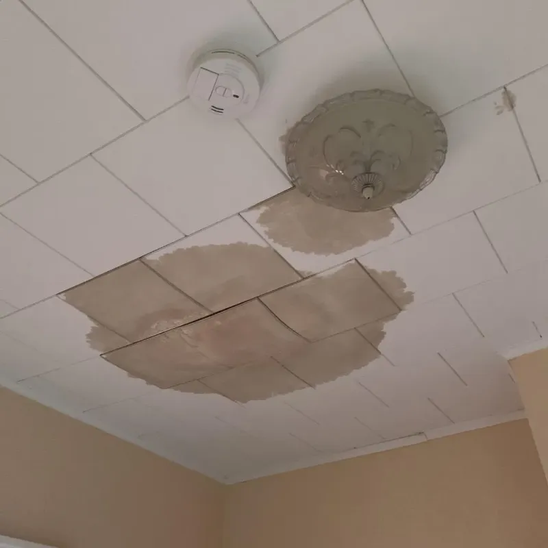 Ceiling Water Damage Repair in Milan, TN