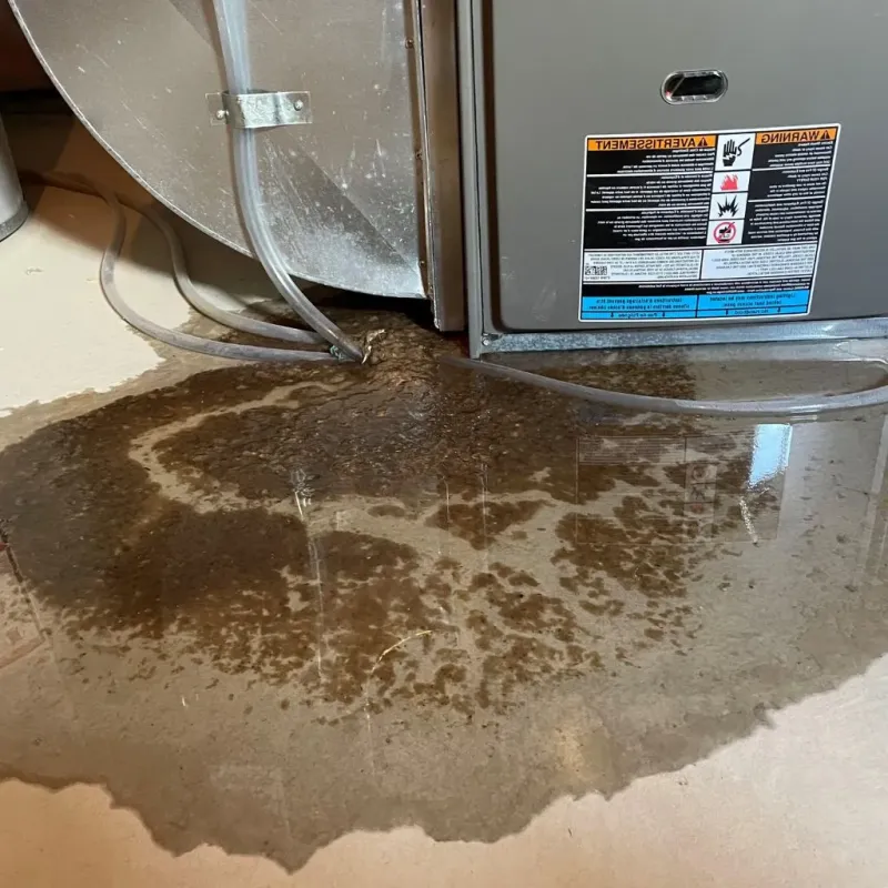 Pipe Burst and Leak Restoration in Milan, TN