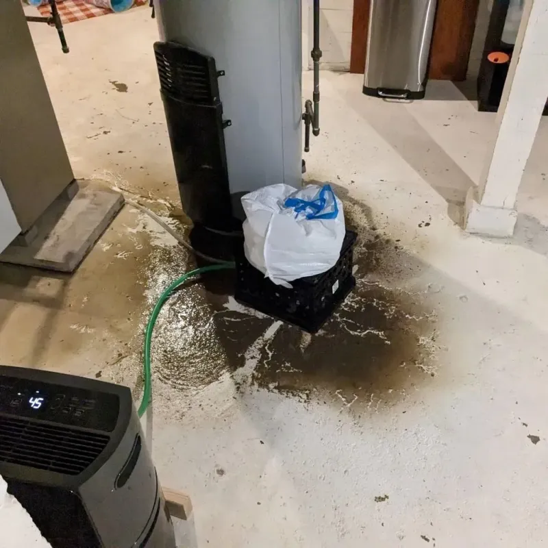 Sewage Backup Cleanup Service in Milan, TN